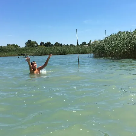 Myzamárdi * Zamárdi